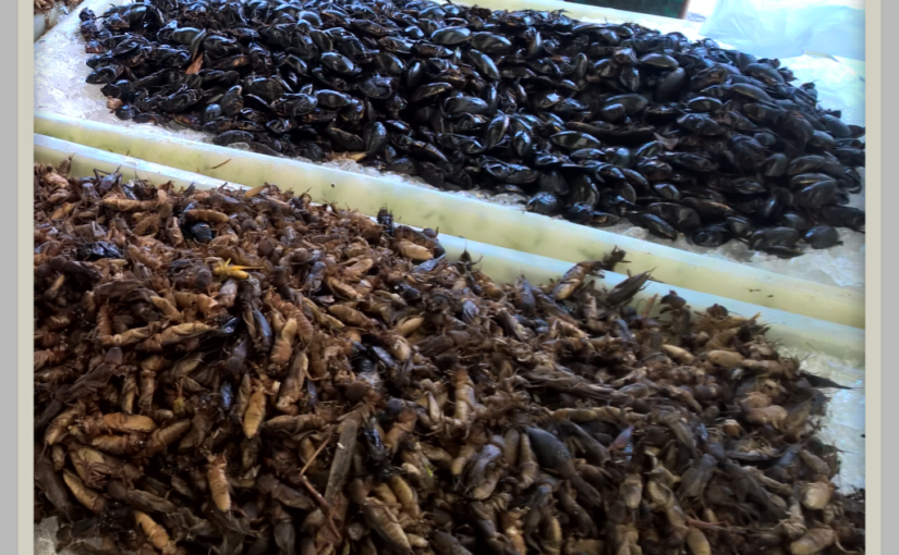 Market Insects